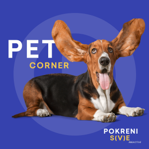 Pet Center lounge for four-legged friends – a place to rest and have snacks for dogs and cats.